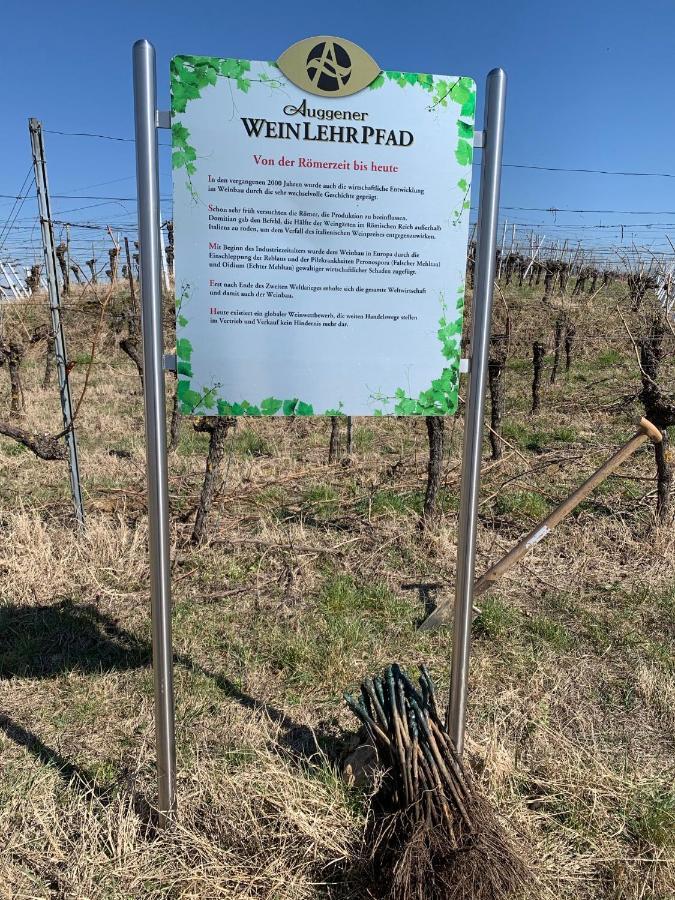 奥根Ruedlins-Winzerhof公寓 外观 照片